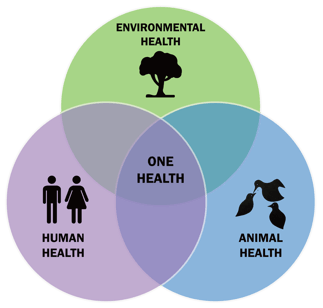 One-Health-Triad-en