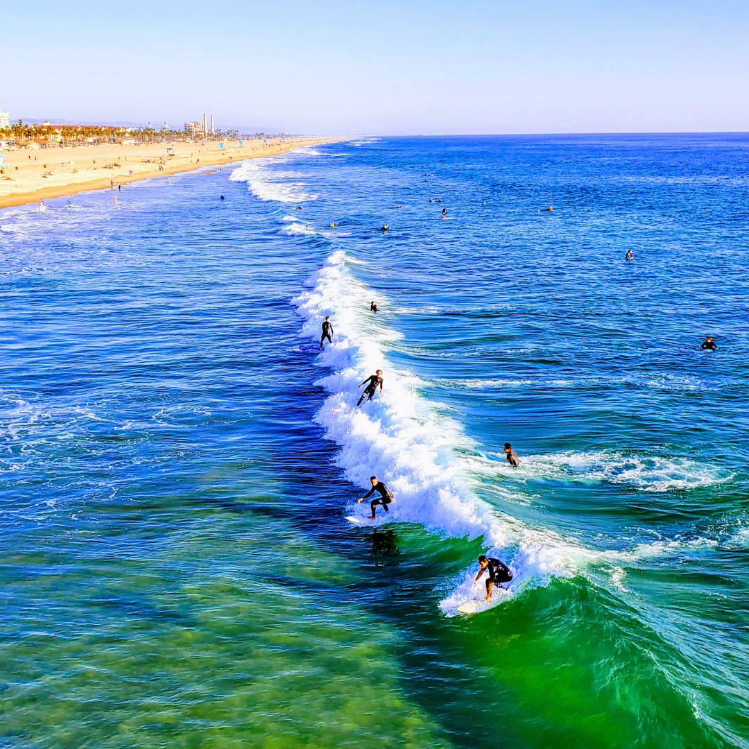 Surfers in the ocean