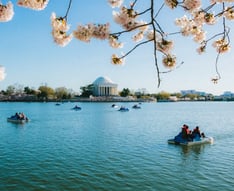 Jefferson Memorial across Tidal Basin n Washington