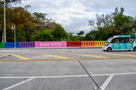 wilton manors car in front of love wins art
