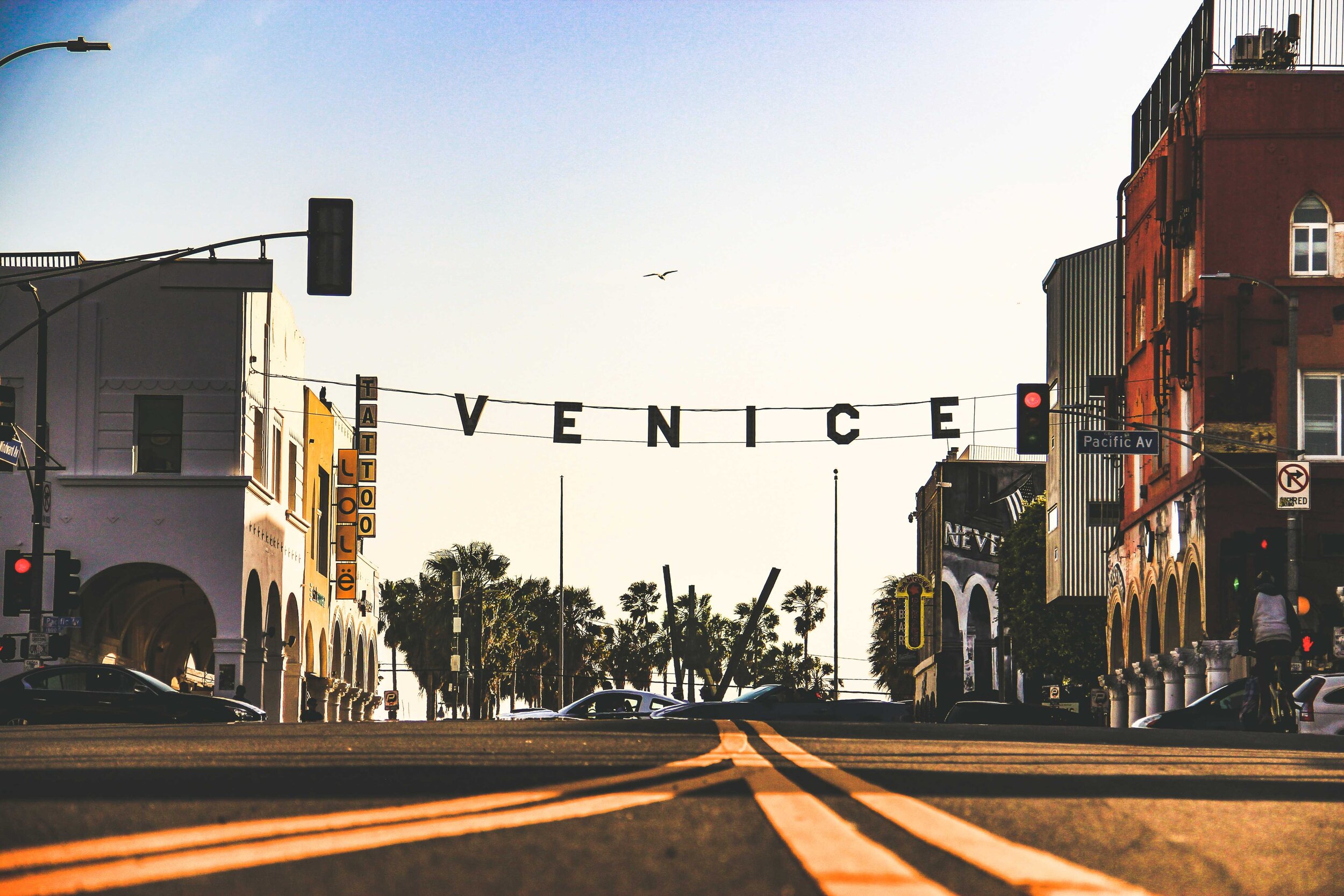florian-wehde-YcYHHxKKlTk-unsplash
