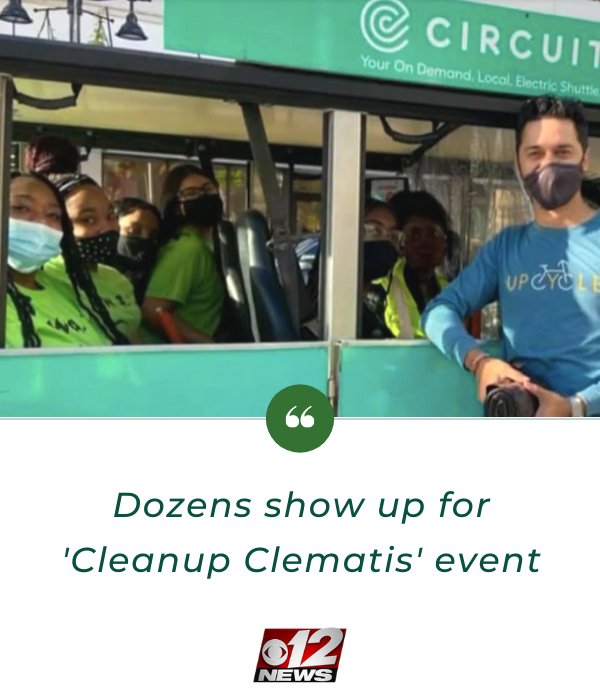 Cleanup Clemaits